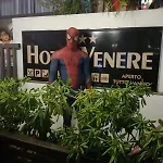 Venere 3*