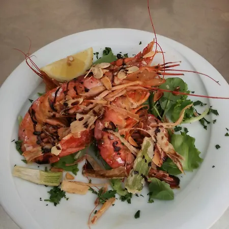 Venere Hotell Rimini